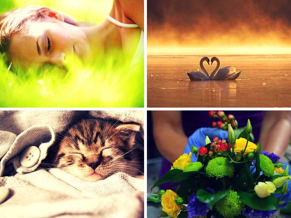 К чему снится дарят цветы: толкование сна по различным сонникам