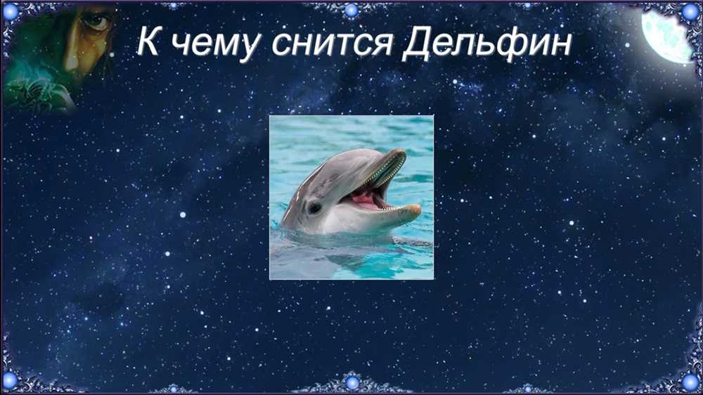 Дельфины в море