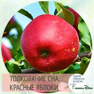 Отражение красных яблок в разных культурах и религиях