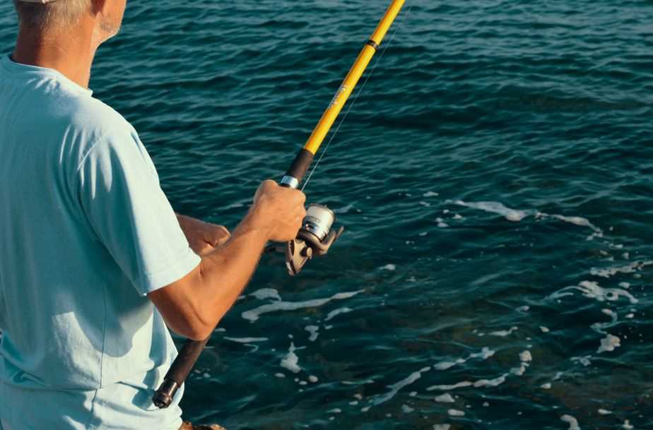 Рыбалка во сне: как толковать сны о рыбалке по различным сонникам