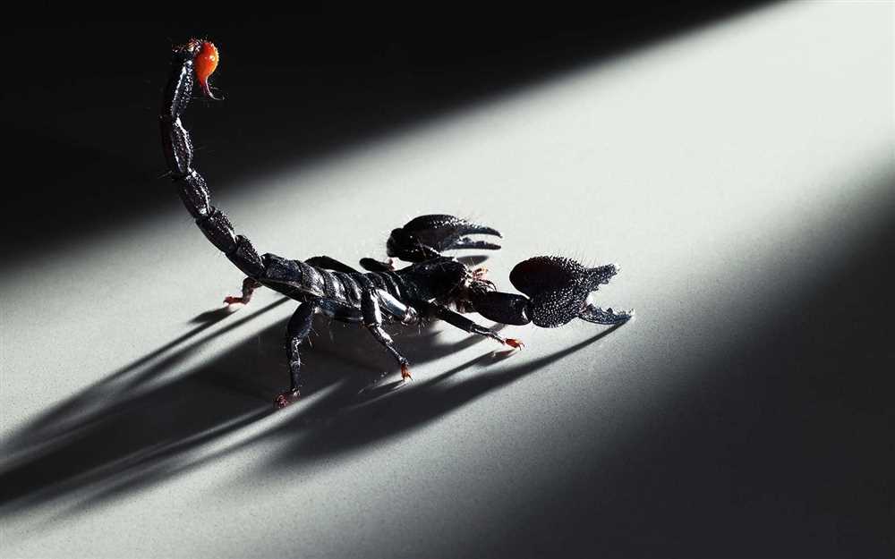1. Сон о скорпионе как символ опасности