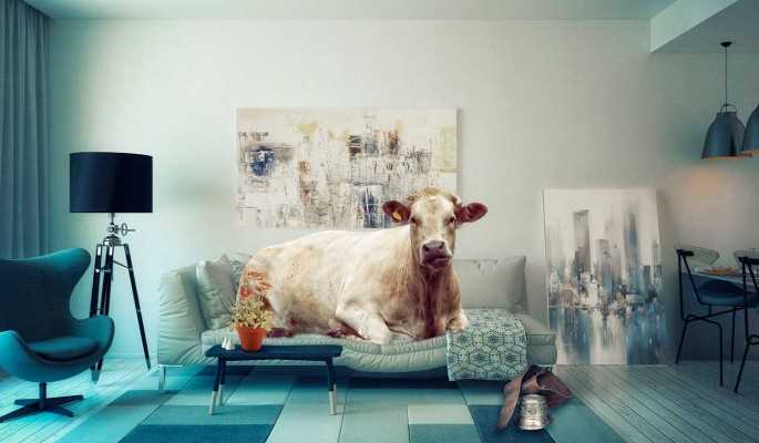 К чему снится Стадо коров: толкование сна по различным сонникам
