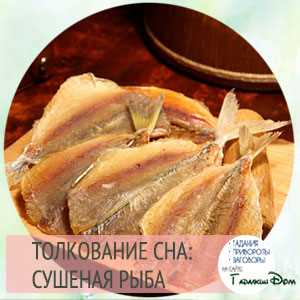 Сон о Сушеной рыбе: значение по соннику Безрукова