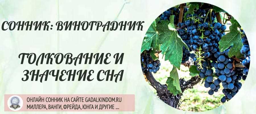 Разнообразие значения