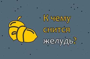 К чему снится желуди: толкование сна по различным сонникам