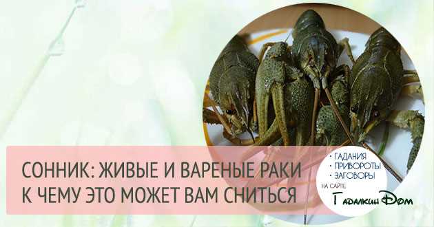 Сон о раках в разных сонниках