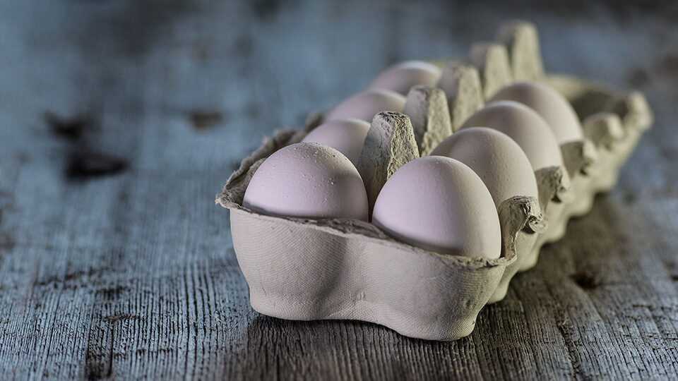 К чему снятся Сырые яйца: толкование сна по различным сонникам