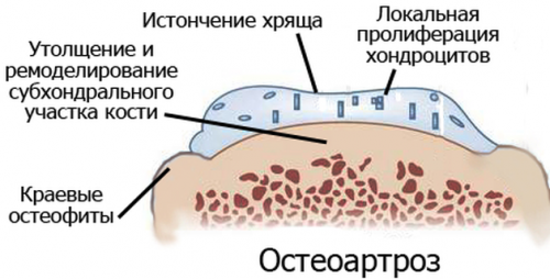 2205bd50cea9f65d9c9574edba889bf5.png