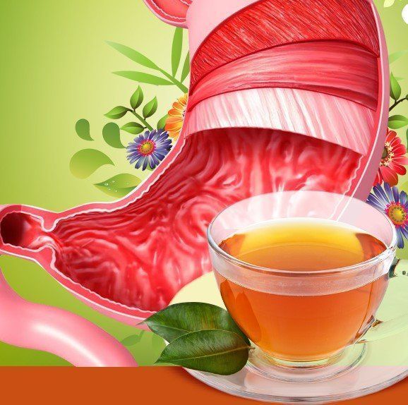 Монастырский чай для лечения панкреатита