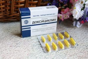 3ff062099fe0f14303cdf46ddbfbf13c.jpg