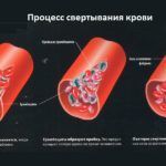 54e40cd1d8621af602a7ff9e1c1699a5.jpg
