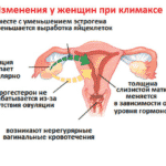 65457d2217c5ce12bdca924abe833417.png