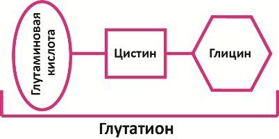 9ccde839a55fbd381e6621493d2ee9db.jpg