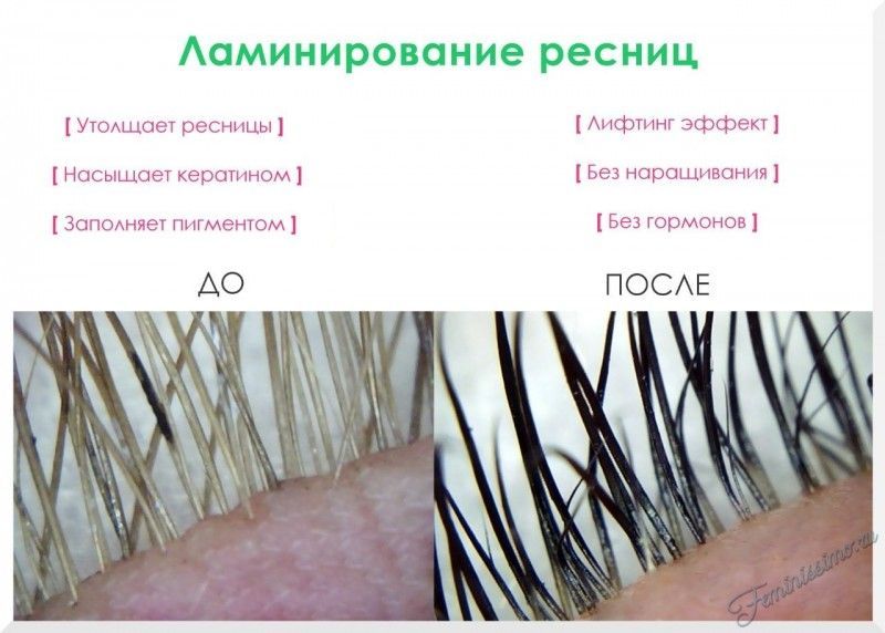 a37b10b58dcf99b06903346b32202216.jpg