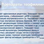 d521080dd14118f221ca52ceaf1f7366.jpg