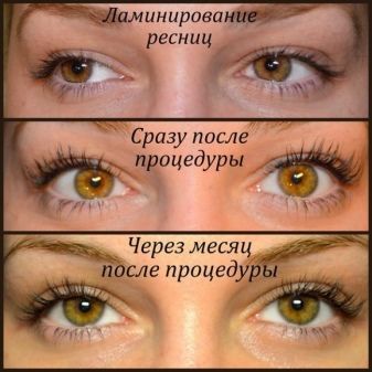 d7d68931d3269dea08d3d318569782c6.jpg