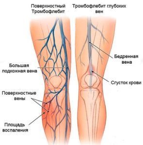 ece0282832de093e8831c0a004a86289.jpg