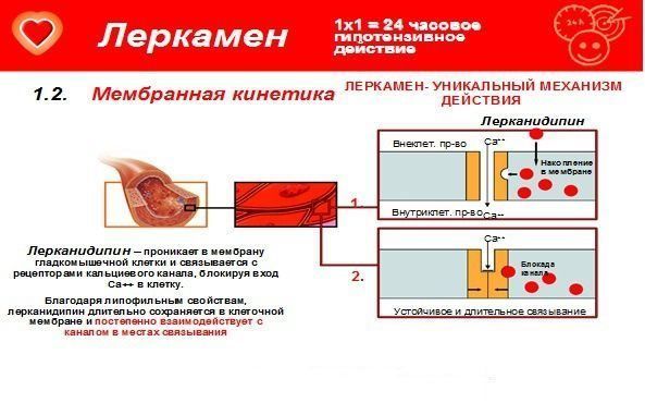 f3873f9ce8bc57e8f51e079b61a81bc3.jpg