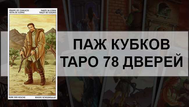 Паж Кубков Таро 78 Дверей: общее значение и описание карты